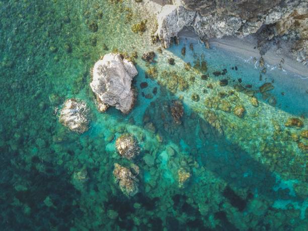 istock Top view of a rocky tropical coast 1443772919