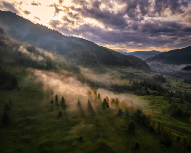 istock Drone view on a beautiful morning over the meadows 1443775779