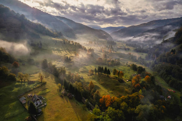 istock Drone view on a beautiful morning over the meadows 1443775786