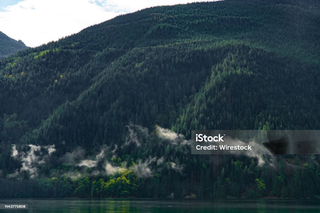 Beautiful landscape of pine forests on Mt Crickmer by Alouette lake A beautiful landscape of pine forests on Mt Crickmer by Alouette lake Atmospheric Mood Stock Photo
