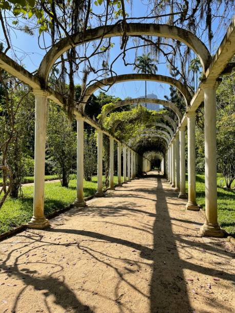 istock Vertical shot of a beautiful paved corridor, its columns covered with green leaves 1443775809