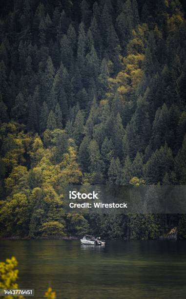 Boat Floating On Alouette Lake Near A Dense Pine Forest Stock Photo - Download Image Now