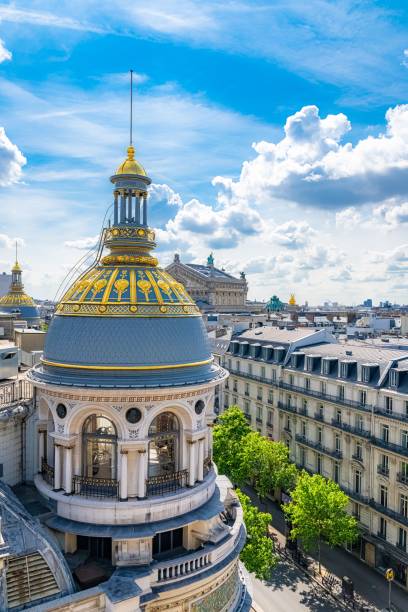 istock Paris, view of typical roofs 1443777540