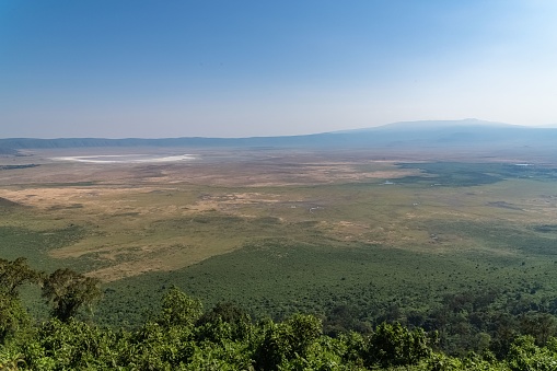 Tanzania, view of the Ngorongoro crater, beautiful landscape with different animals living together
