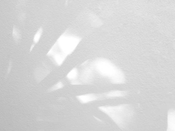 istock Natural shadow of leaves on a white wall 1443778490