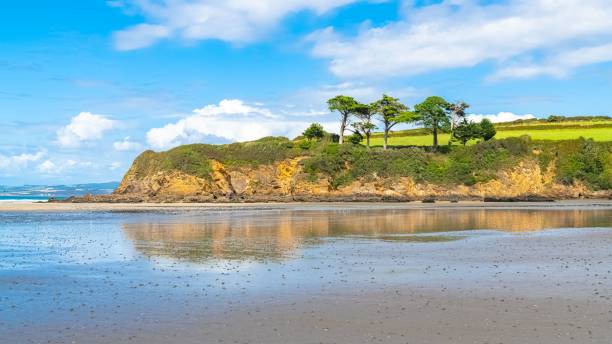 istock Douarnenez, the Tristan island 1443778597