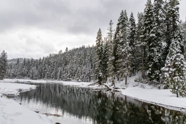 istock A river in the forest under the snow 1443779704