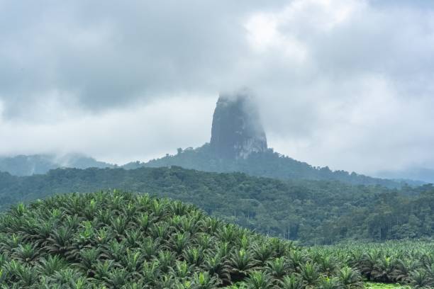 sao tome, pico cao grande, schöner scharfer berg - sao tome and principe stock-fotos und bilder