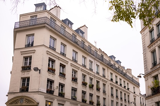 Paris, typical building, parisian facade and windows rue de Rivoli