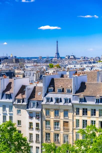 париж, типичные здания и крыши в марэ, вид с воздуха - paris france roof apartment aerial view стоковые фото и изображения