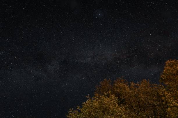 istock Scenic view of the starry sky at night 1443782607