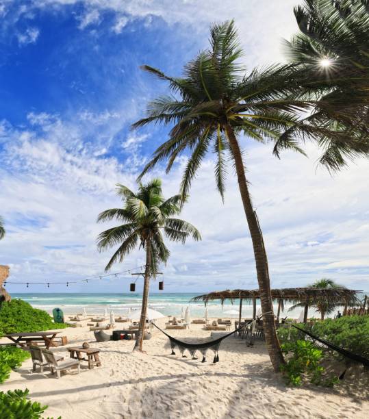 istock Idyllic sandy Tulum beach in Quintana Roo, Mexico 1443783078