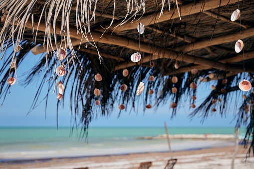 A selective focus shot of seashells hanging from a ceiling of an outdoor cafe on a beach in Holbox, Quintana Roo, Mexico