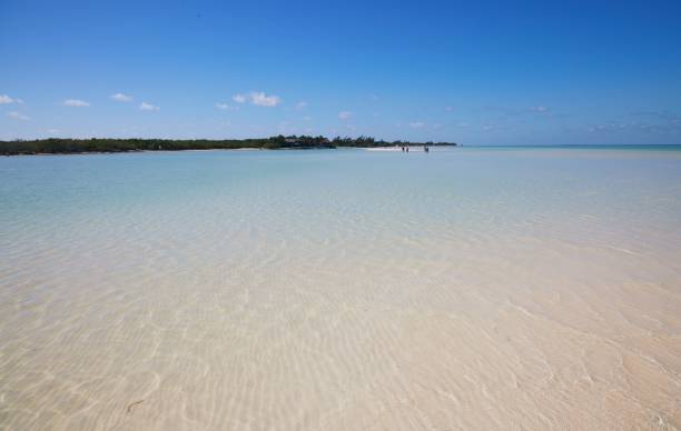 istock Idyllic seascape in Holbox, Quintana Roo, Mexico 1443783455