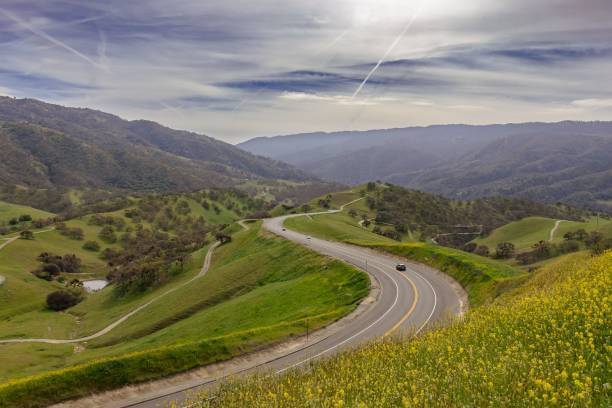 istock Dell Valle Regional Park Road scenic landscape 1443784319