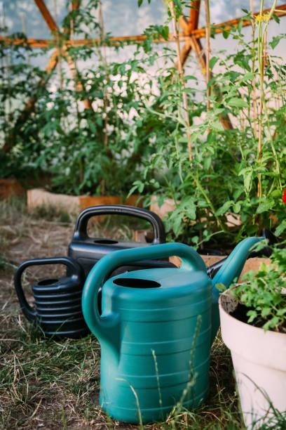 istock greenhouse seedling irrigation stuff eco gardening 1443786719