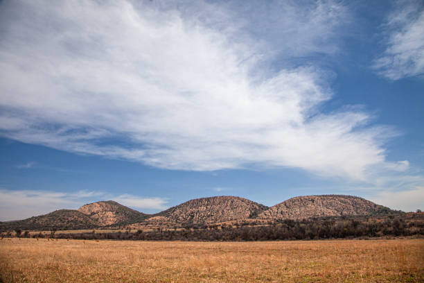 The Coronado National Forest is a United States National Forest that includes an area of about 1.78 million acres spread throughout mountain ranges in southeastern Arizona and southwestern New Mexico.