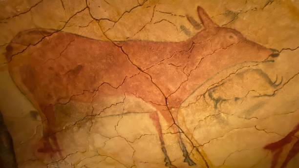 reproducción de las pinturas rupestres de altamira en la zona cromática de la neocueva, españa - cueva de altamira fotografías e imágenes de stock