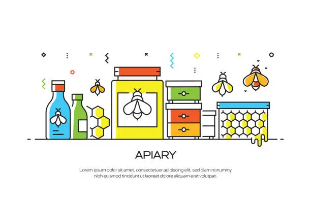 Vector illustration of APIARY Related Line Style Banner Design for Web Page, Headline, Brochure, Annual Report and Book Cover