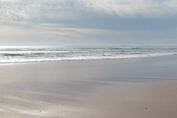 istock Water, beach, sand and pastel colours 1443795245
