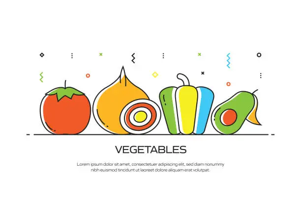 Vector illustration of VEGETABLES Related Line Style Banner Design for Web Page, Headline, Brochure, Annual Report and Book Cover