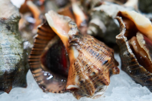 Shelled Seafood At Fish Market