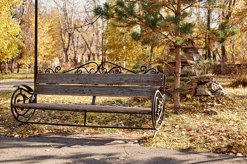Autumn Park dry weather in the photo cozy bench.