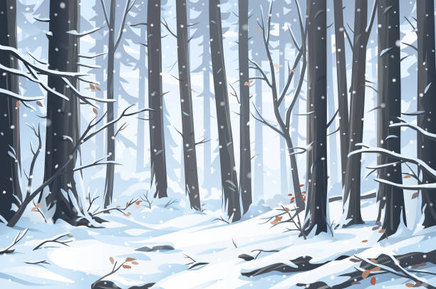 ilustraciones, imágenes clip art, dibujos animados e iconos de stock de nívea bosque de invierno - glade