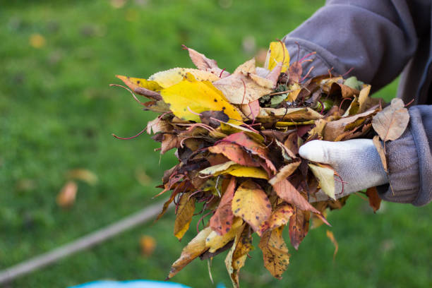 istock Holding autumn leaves in hands 1443805255