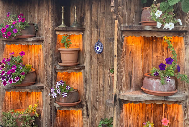 istock Flower Pots on Rustic Wooden Shelves 1443808757
