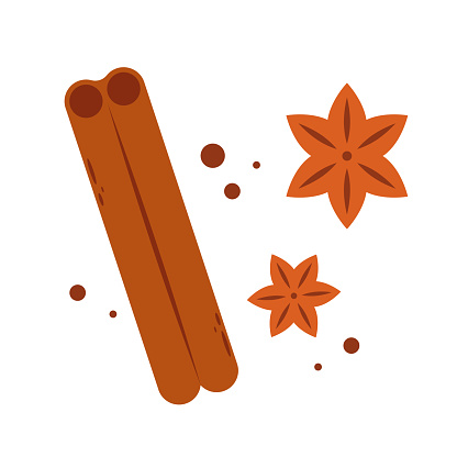 Cinnamon stick and brown anise flower. Set of spices. Doodle sketch cartoon illustration.