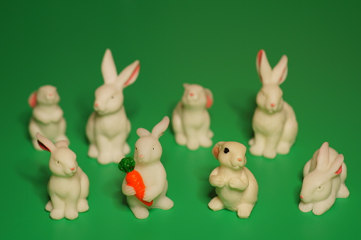 A group of rabbits on a green background.