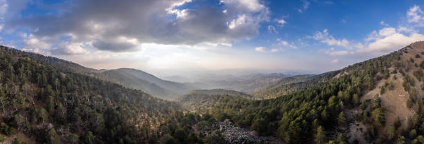 panorama gór lasu troodos, cypr - park terenowy zdjęcia i obrazy z banku zdjęć