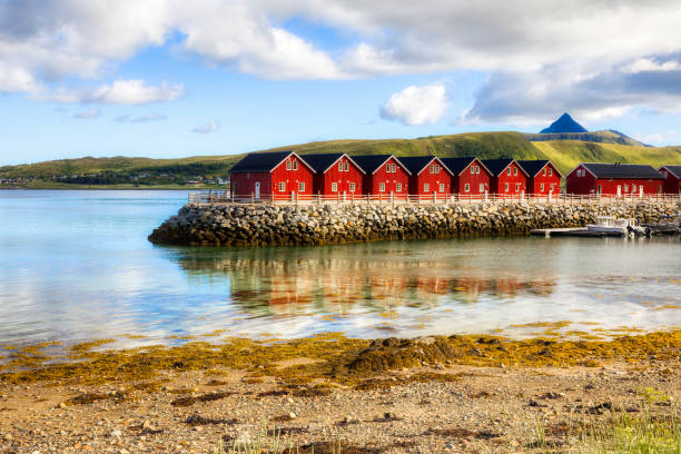 cabanas de pescadores em skreda by offersoystraumen em lofoten, nordland, noruega - vestvagoy - fotografias e filmes do acervo