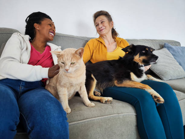 istock Two women chatting, sitting with their pets: cat and dog. 1443820641