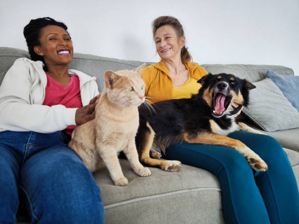 Two women of different ages and races communicate with each other. They sit with their pets in the living room on the sofa.