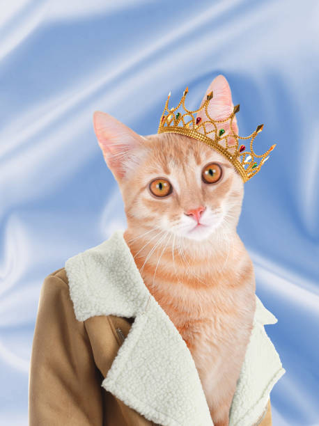 istock Cute cat dressed like royal person against light blue background 1443822731