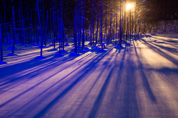 Illuminated snow-covered lake at night in Biei Illuminated snow-covered lake at night in Biei shirogane blue pond stock pictures, royalty-free photos & images