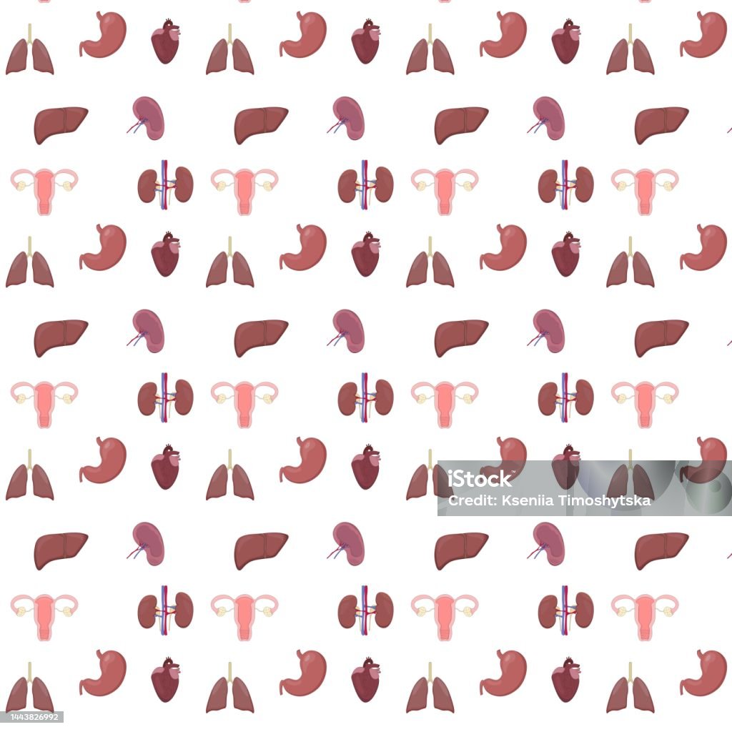 Abstract Organs Healthy Organs Pattern Stock Illustration - Download Image Now ...