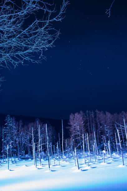 istock Illuminated winter blue pond and Orion 1443828644