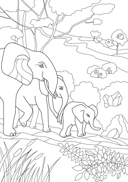 kolorowanka dla dzieci i dorosłych. dzikie zwierzęta rodzina słoni. - coloring book coloring book australia stock illustrations