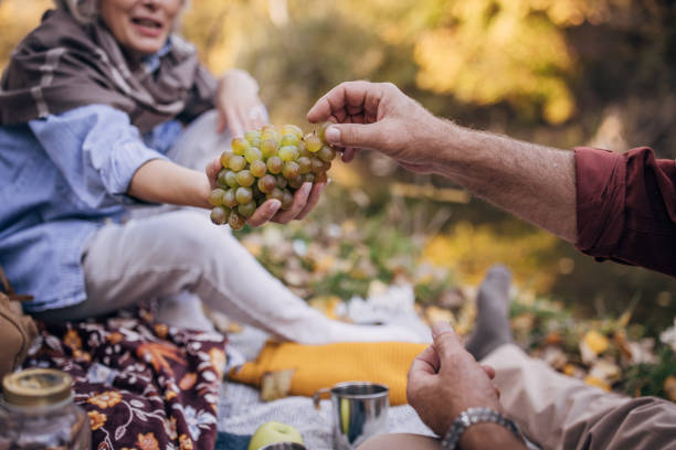 istock Old couple on picnic 1443839880
