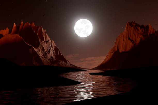 istock Night landscape with water, moon and palms 3d render. 1443840399