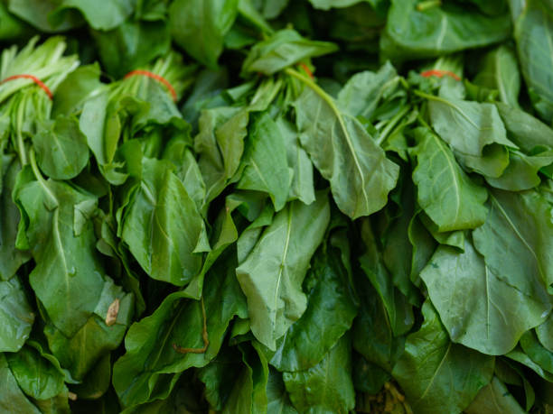 istock fresh spinach at the market 1443840430
