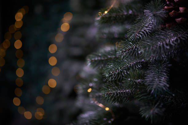 istock Christmas tree branches with a fir cone and a defocused garland lights 1443840553