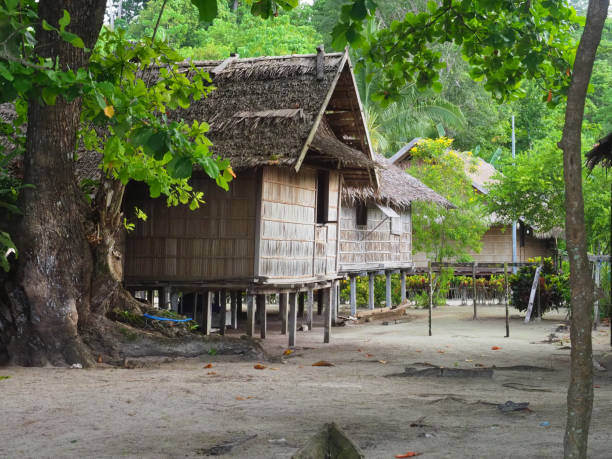 stilt house of a traditional papuan coastline village Batanta island, Raja Ampat, West Papoua, Indonesia stilt house stock pictures, royalty-free photos & images