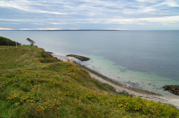 Hundested, Denmark on the cliff overlooking the sea. Baltic Sea coast, grassy meadow, beach. Clouds on horizon. Landscape photo from Scandinavia.