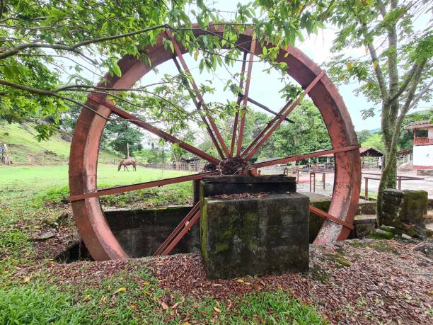 istock Red water mill in the forest. 1443846583