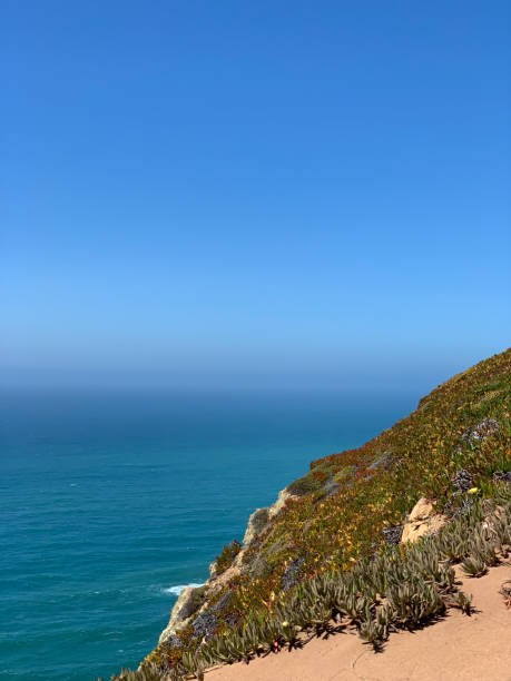istock Cliffs and blue ocean of Cabo da Roca 1443847990