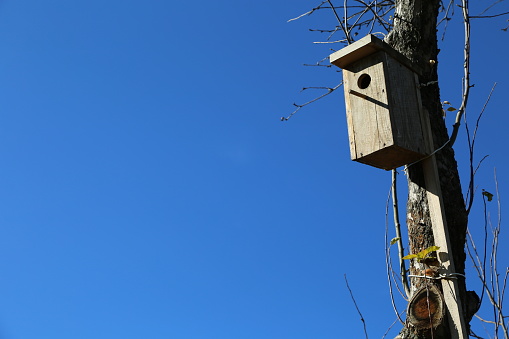 A wooden bird house and clear blue sky on a spring day in Ukraine